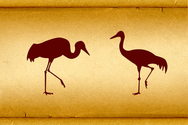 Similar image 878889