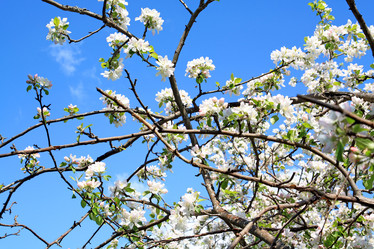 Similar image 878891