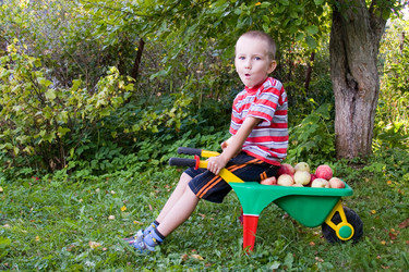 Similar image 878902