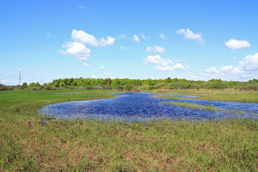 Similar image 878905