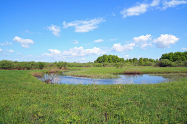 Similar image 878913