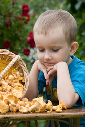 Similar image 878916