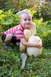 Similar image 878919