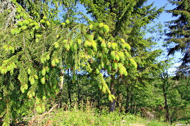 Similar image 878951