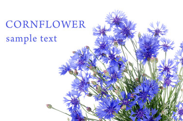 Similar image 878953