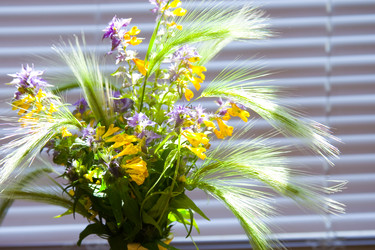 Similar image 878958