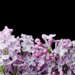 Similar image 878966