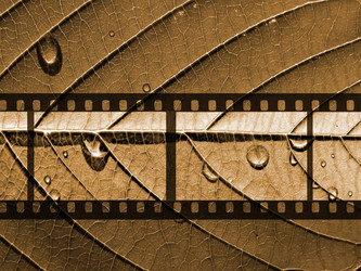 Similar image 878990