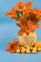 Similar image 879033