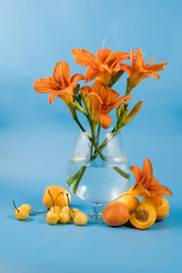 Similar image 879038