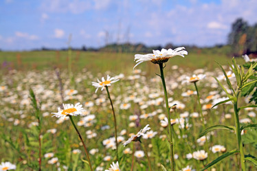 Similar image 879049