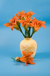 Similar image 879055