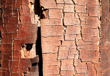 Similar image 879057