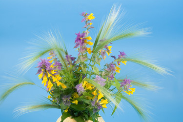 Similar image 879061