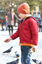 Similar image 879063