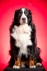 Similar image 879067