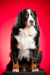 Similar image 879077