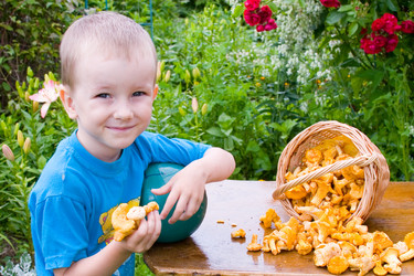 Similar image 879082