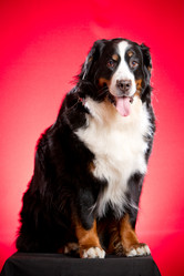 Similar image 879089