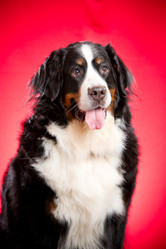 Similar image 879094