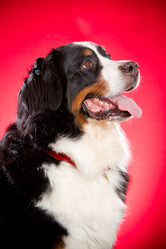 Similar image 879095