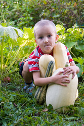 Similar image 879097