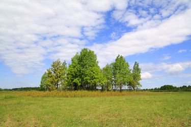 Similar image 879105