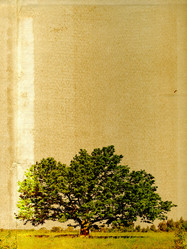 Similar image 879106