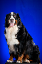 Similar image 879111