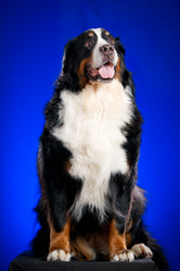 Similar image 879112