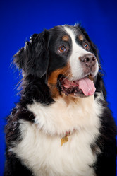 Similar image 879117