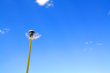 Similar image 879120