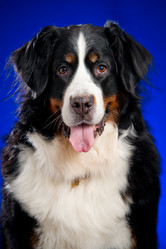 Similar image 879121