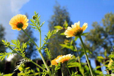 Similar image 879129