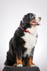 Similar image 879133