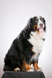 Similar image 879136