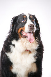 Similar image 879142