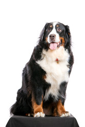 Similar image 879145