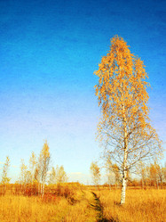 Similar image 879146