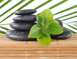 Similar image 879152