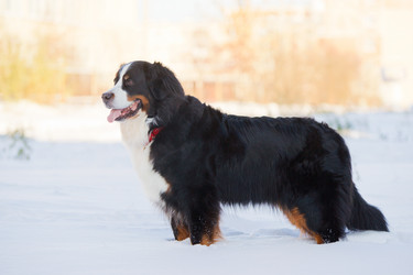 Similar image 879154