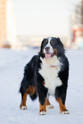 Similar image 879159