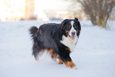 Similar image 879164