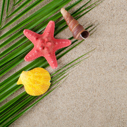 Similar image 879175