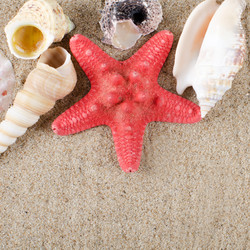 Similar image 879176