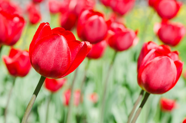 Similar image 879180