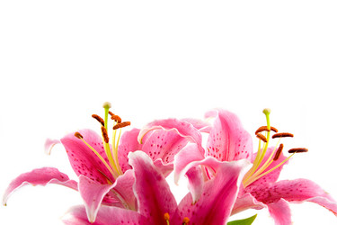 Similar image 879187