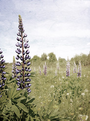 Similar image 879188