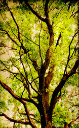 Similar image 879197