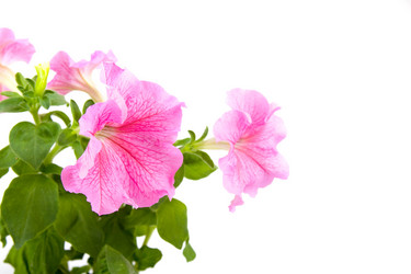 Similar image 879204